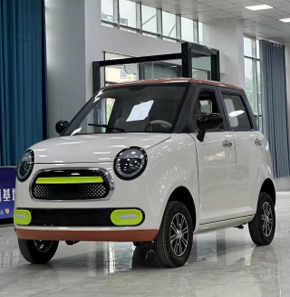 BeiTai H5 Low-speed Electric Vehicle