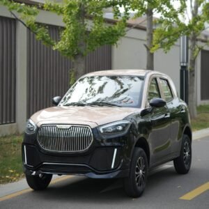 BeiTai-H7-Low-speed-Electric-Vehicle