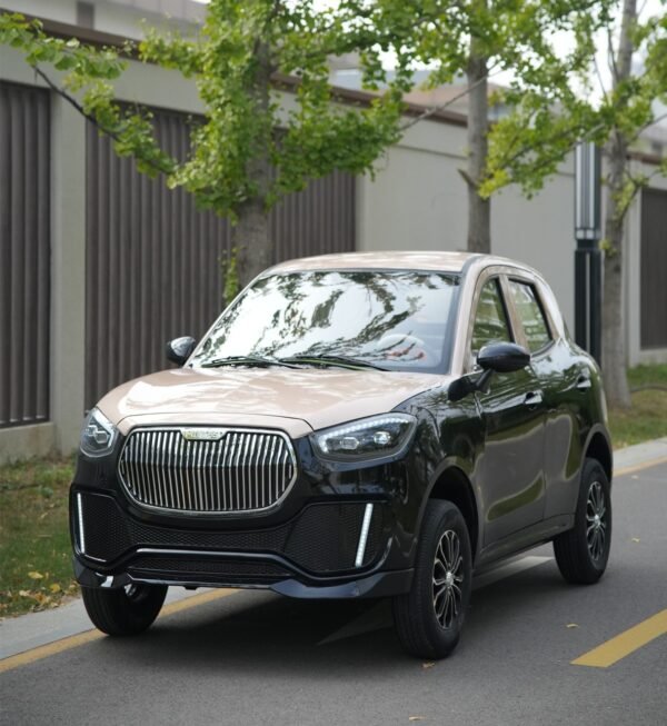 BeiTai-H7-Low-speed-Electric-Vehicle