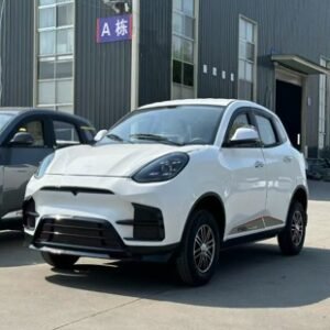 BeiTai-H8-Low-speed-Electric-Vehicle