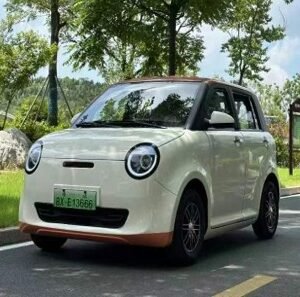 BeiTai L1 Low speed Electric Vehicle